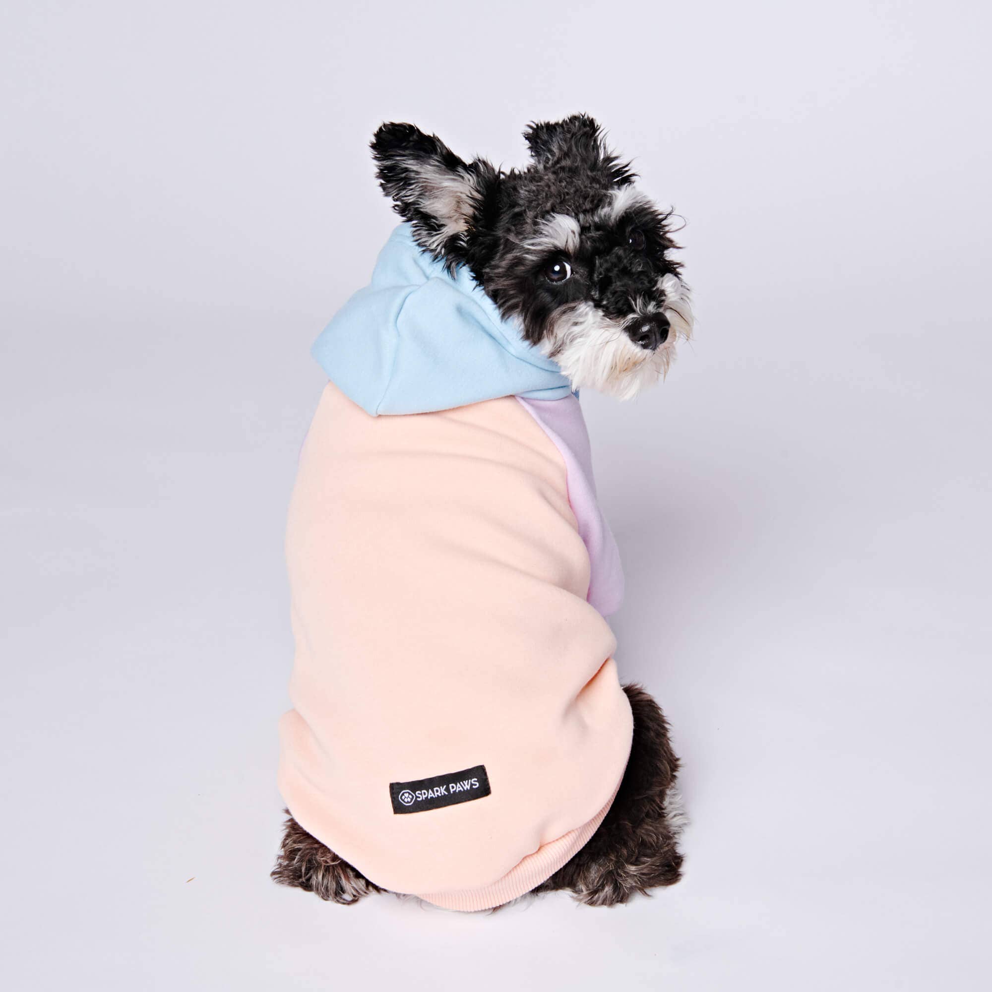 Spark Paws - Cotton Candy Dog Hoodie