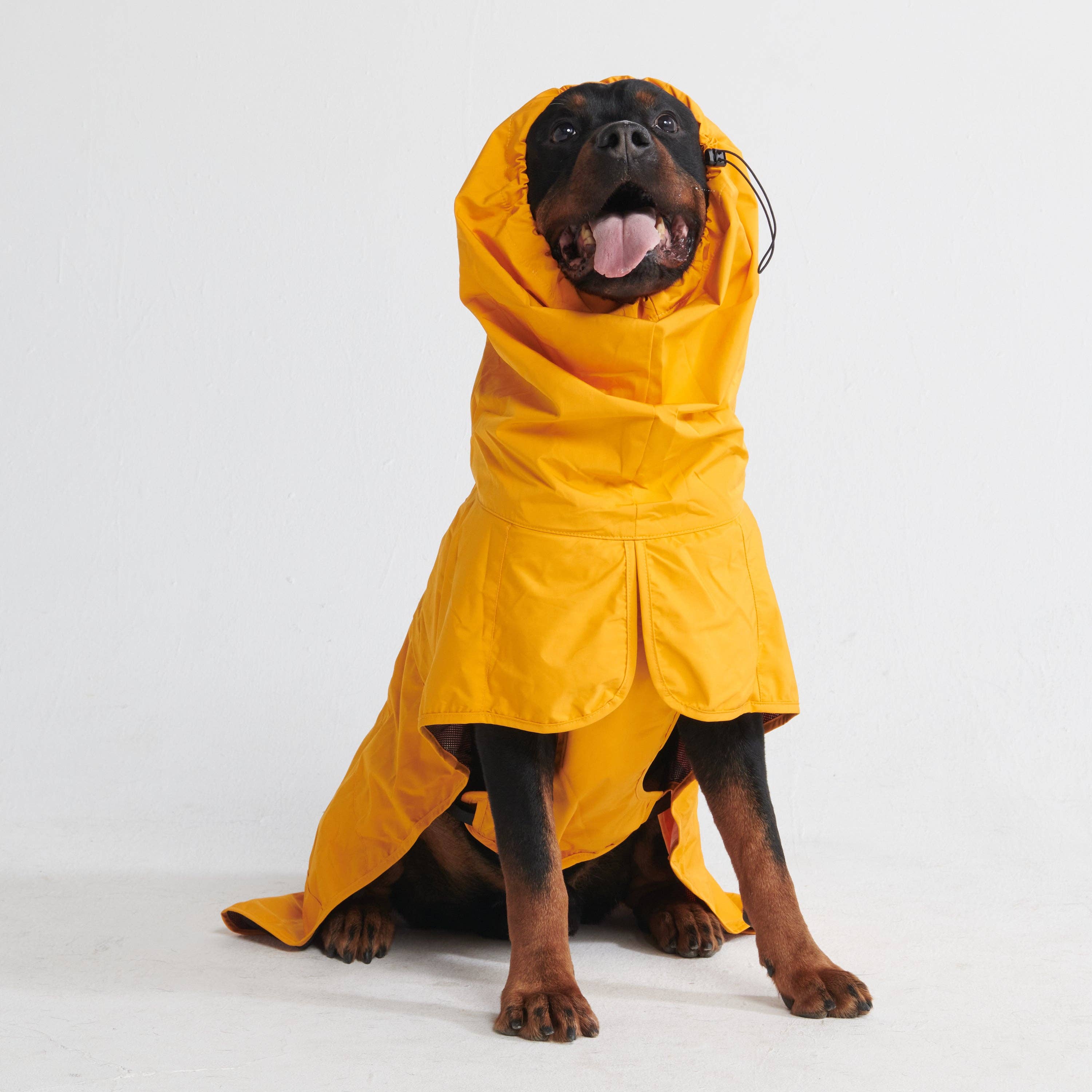 Spark Paws - Breatheshield™ Dog Raincoat - Mustard Yellow