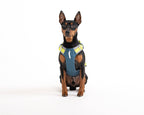 Woolly Wolf – Alpha 360 Harness – Recycled RPET