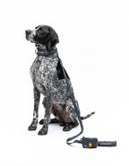 United Pets – Citylife Leash Anthracite Grey – Padded Handle
