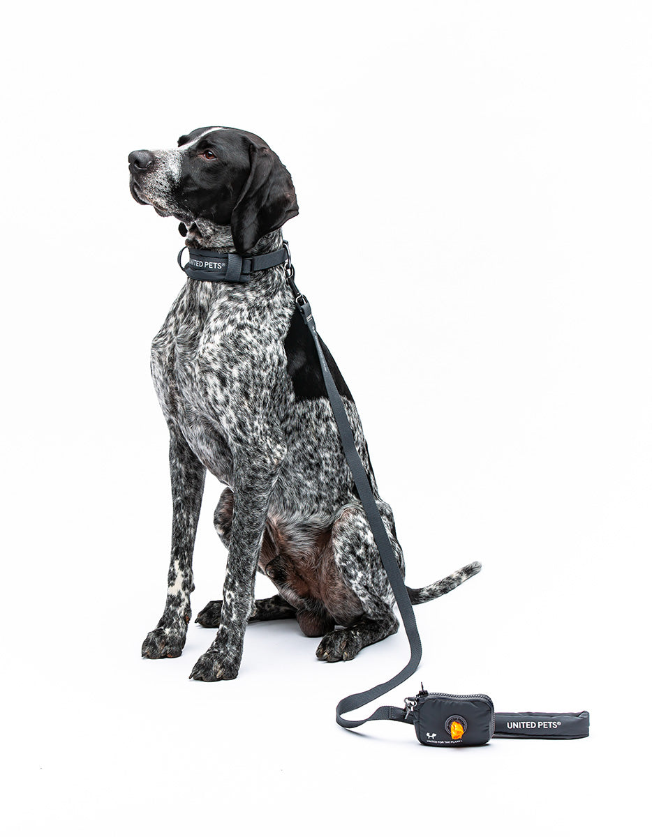 United Pets – Citylife Leash Anthracite Grey – Padded Handle