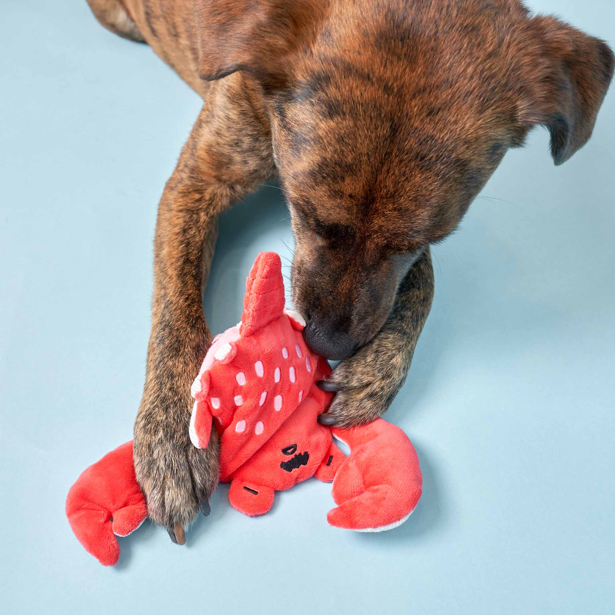 The Furryfolks – Crab – Dog Interactive Nosework Toy