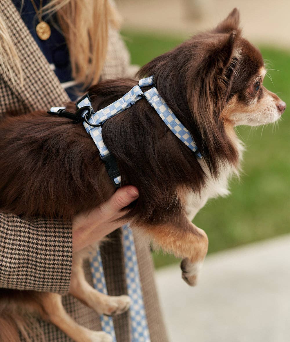 CAFIDE – Juno Harness – Recycled PET