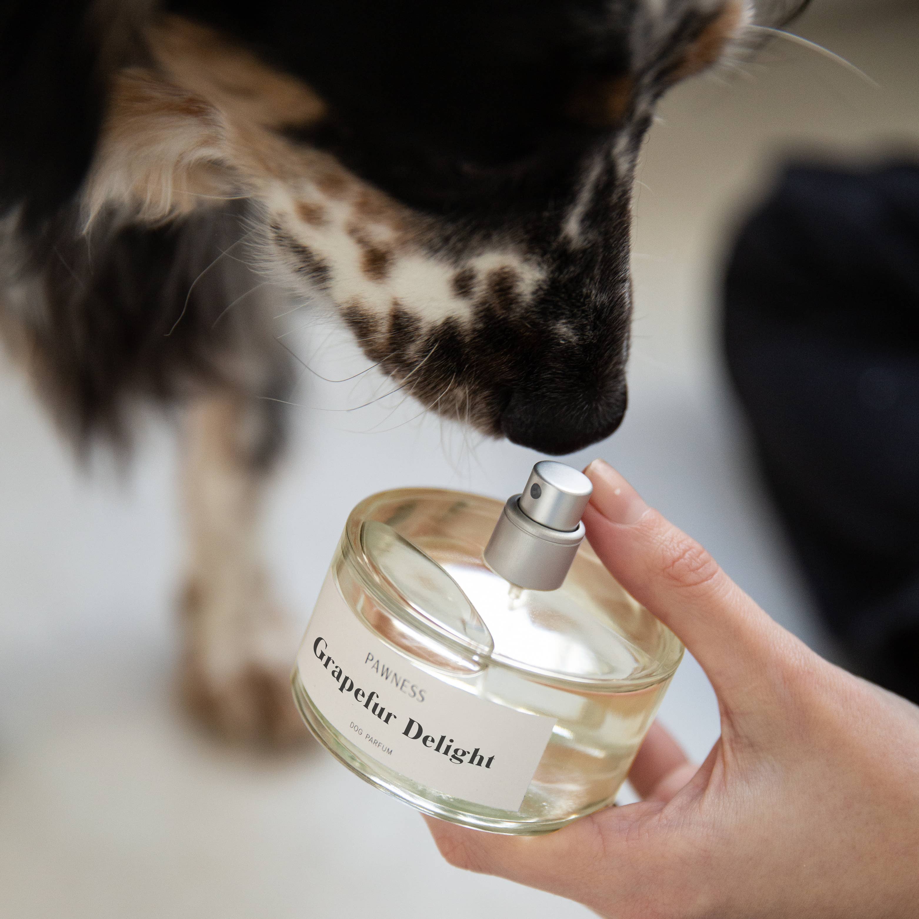 Pawness – Grapefur Delight – Natural Dog Perfume