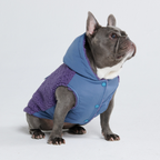 Spark Paws - Reversible Sherpa Jacket - Purple and Blue