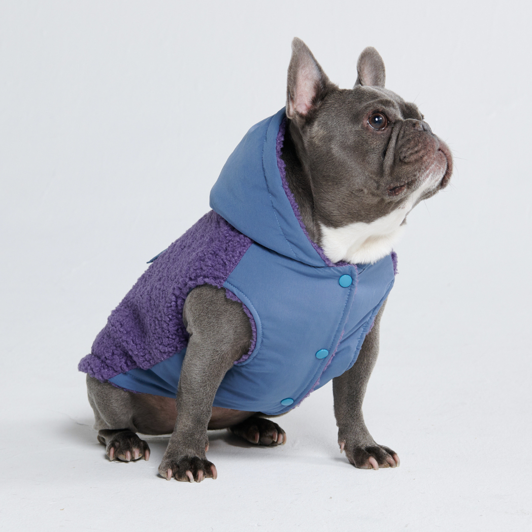 Spark Paws - Reversible Sherpa Jacket - Purple and Blue