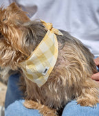 CAFIDE – Yellow Gingham Bandana – Soft Cotton