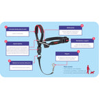 Halti – Headcollar – Anti-Pull Design