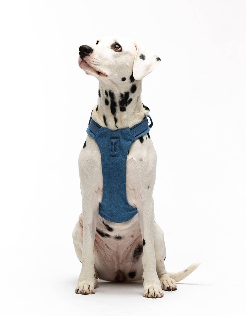 United Pets – Citylife H-Harness Jeans – Padded Comfort