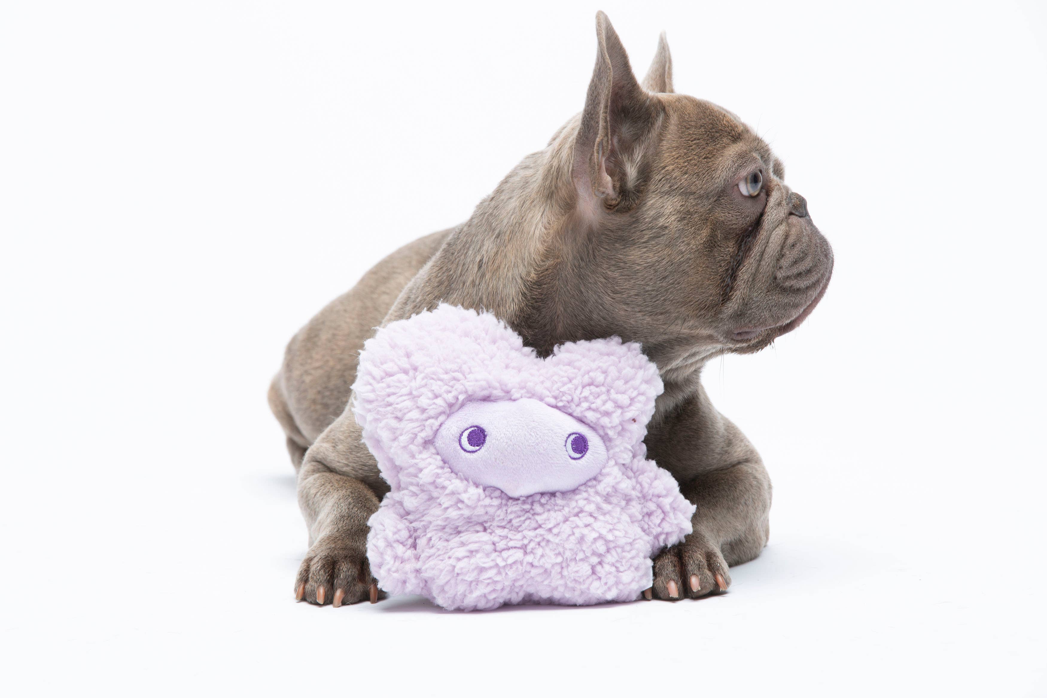 United Pets – Nocciolino – Anti Stress Plush Dog Toy With Essential Oils