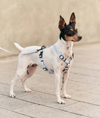 CAFIDE – Juno Leash – Recycled PET