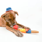 The Furryfolks – Surfer Hooman – Dog Interactive Nosework Toy