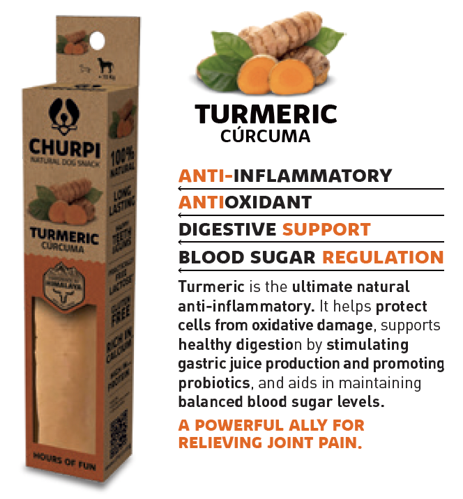 Churpi Dog Chew – Tumeric Natural Yak Bar