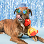 The Furryfolks – Surfer Hooman – Dog Interactive Nosework Toy
