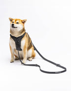 United Pets – Citylife H-Harness Anthracite Grey – Padded Comfort