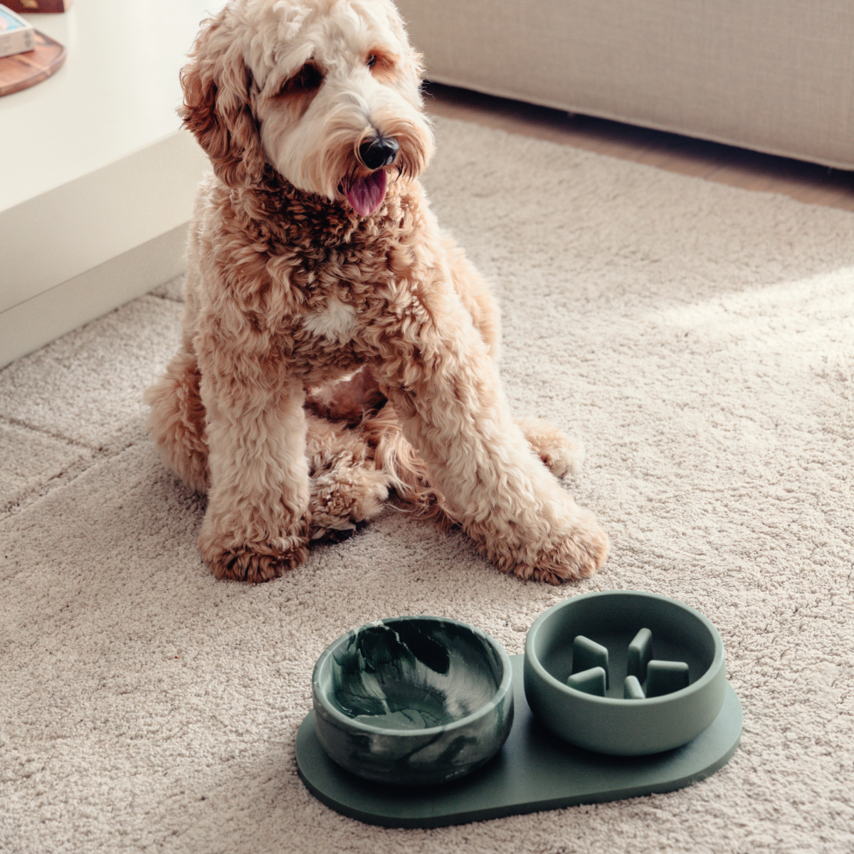 Pino – Classic Bowl – Non-Slip Sandstone & Hypoallergenic
