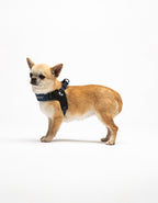 United Pets – Citylife Harness Jeans – Fast Fit