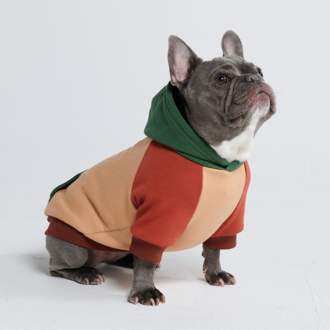 Spark Paws - Ranger Dog Hoodie