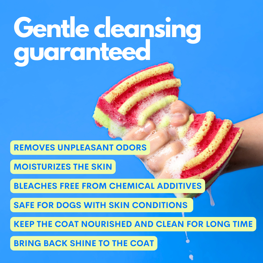 Jampy – The Number One – Hypoallergenic Dog Shampoo & Conditioner
