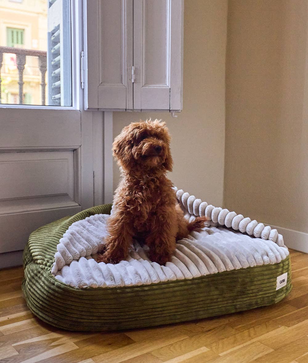 CAFIDE - Cama con Capucha de Pana Verde, Maso