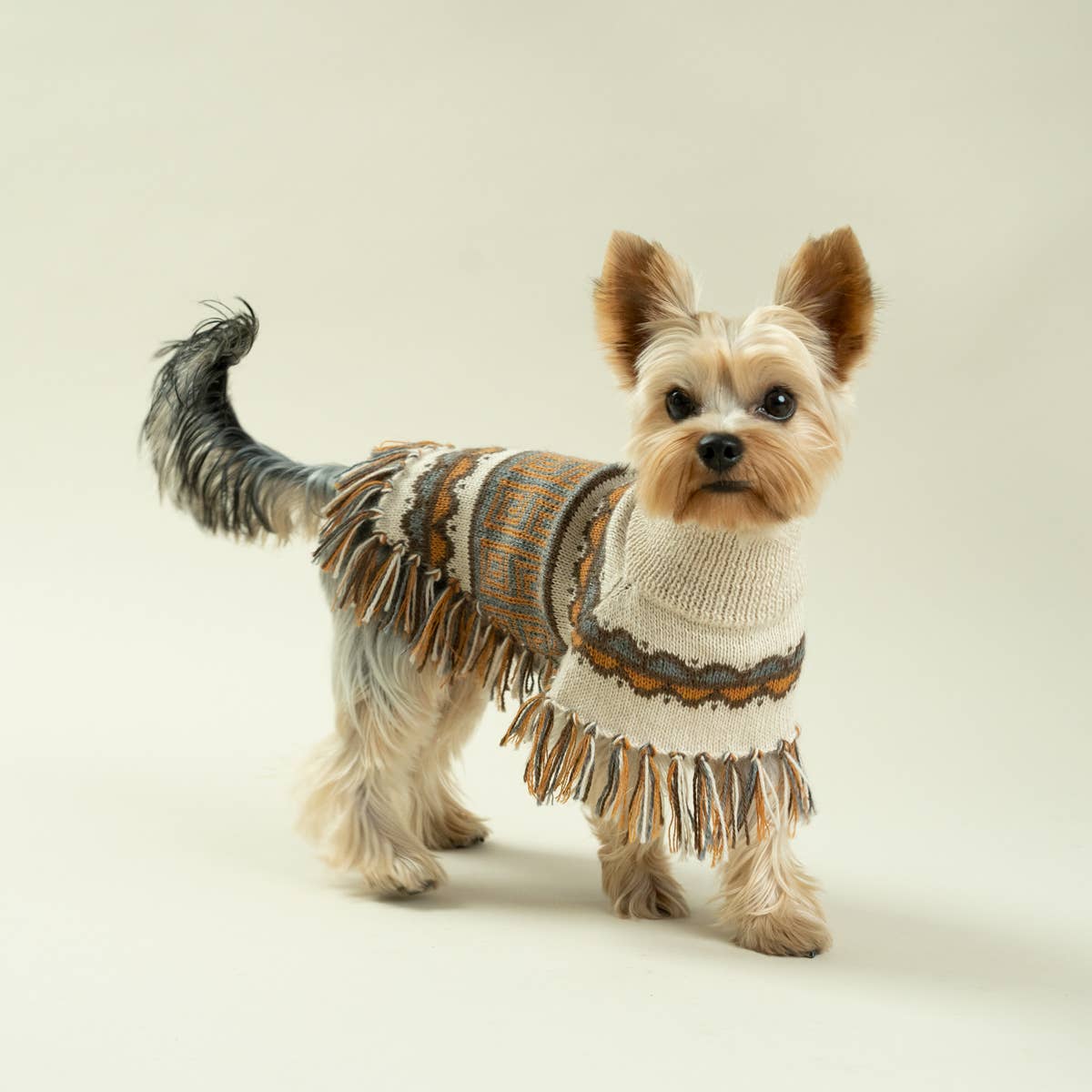 Alqo Wasi - Pisac Alpaca Dog Poncho