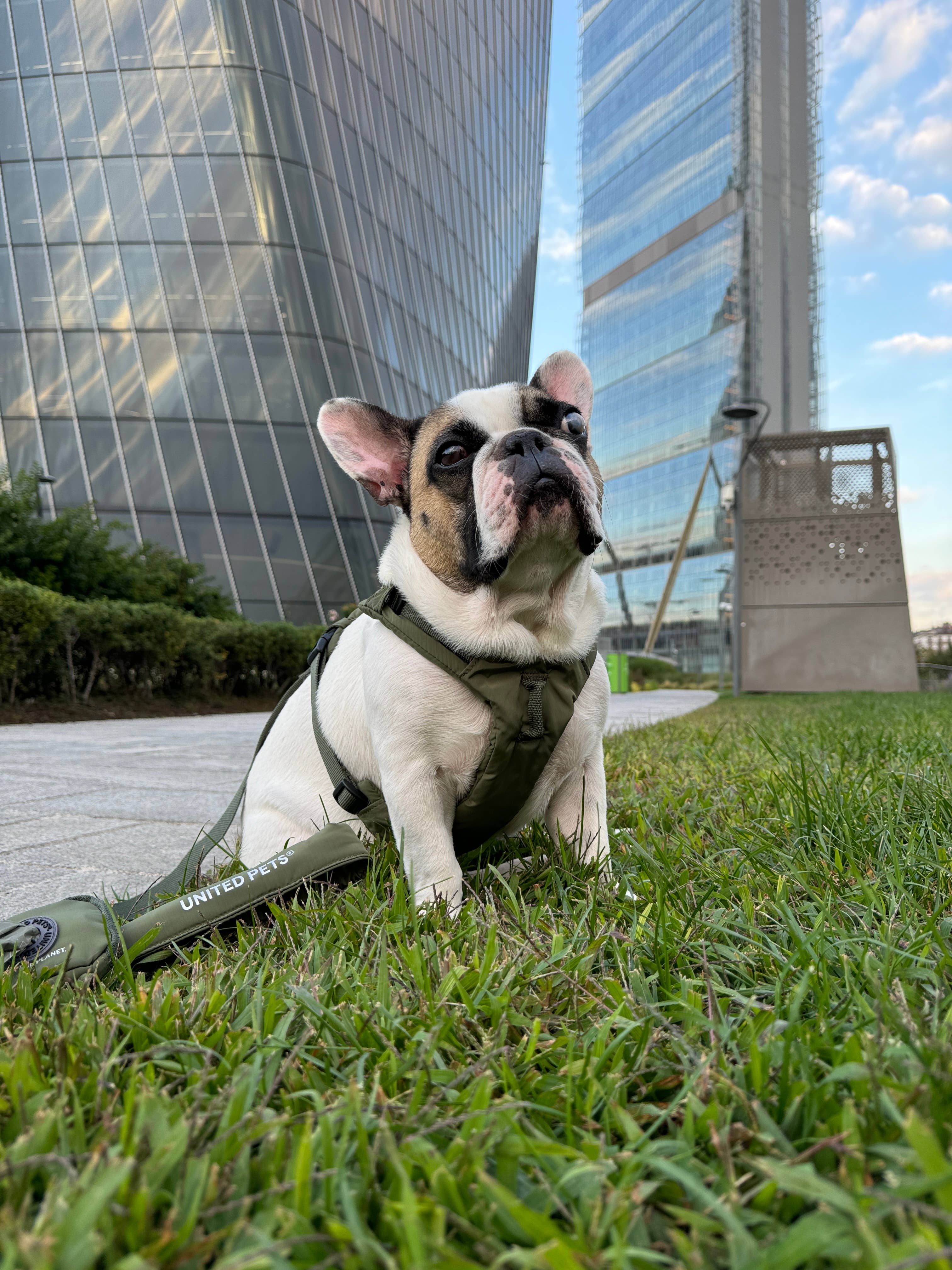 United Pets – Citylife H-Harness Anthracite Grey – Padded Comfort