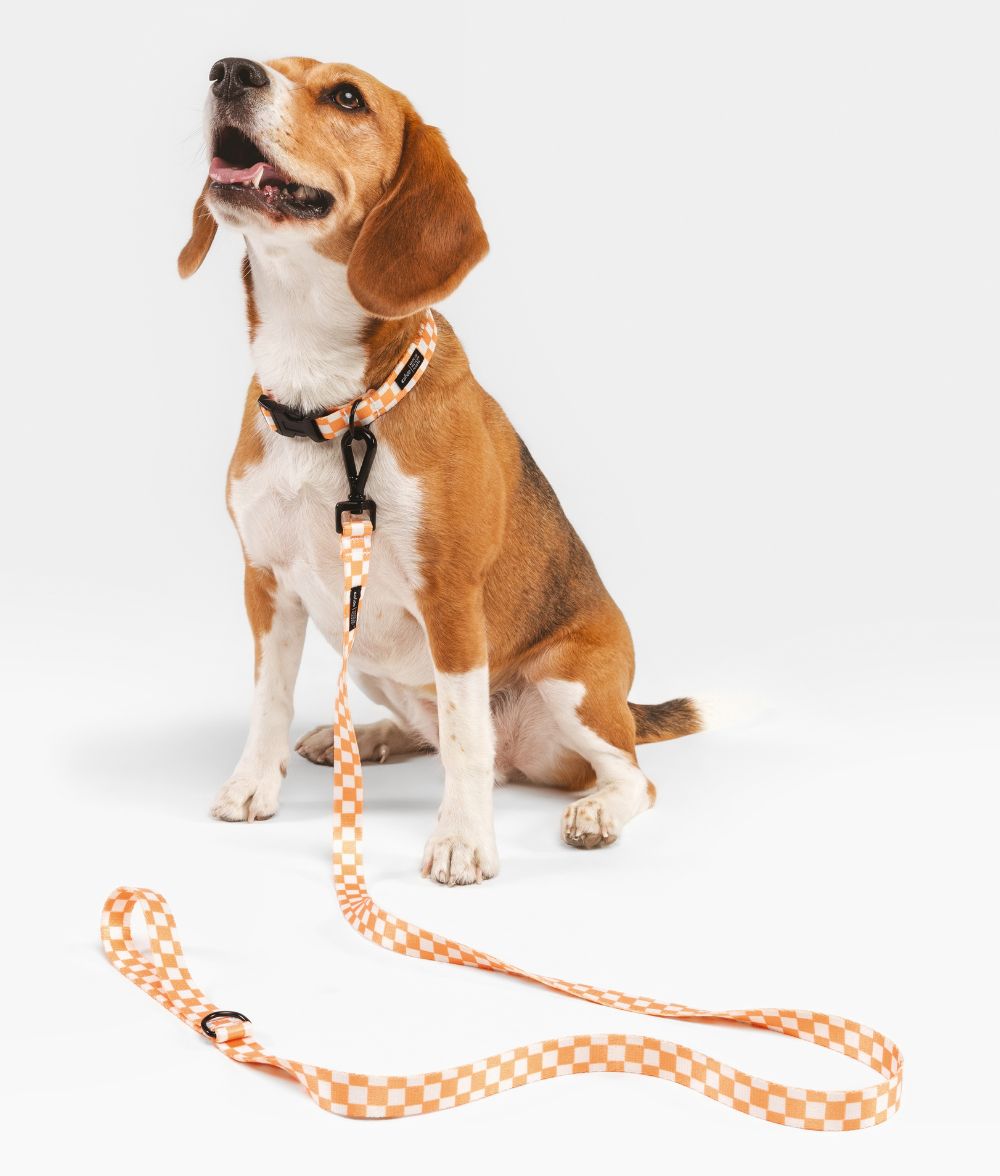 CAFIDE – Juno Leash Peach – Recycled PET