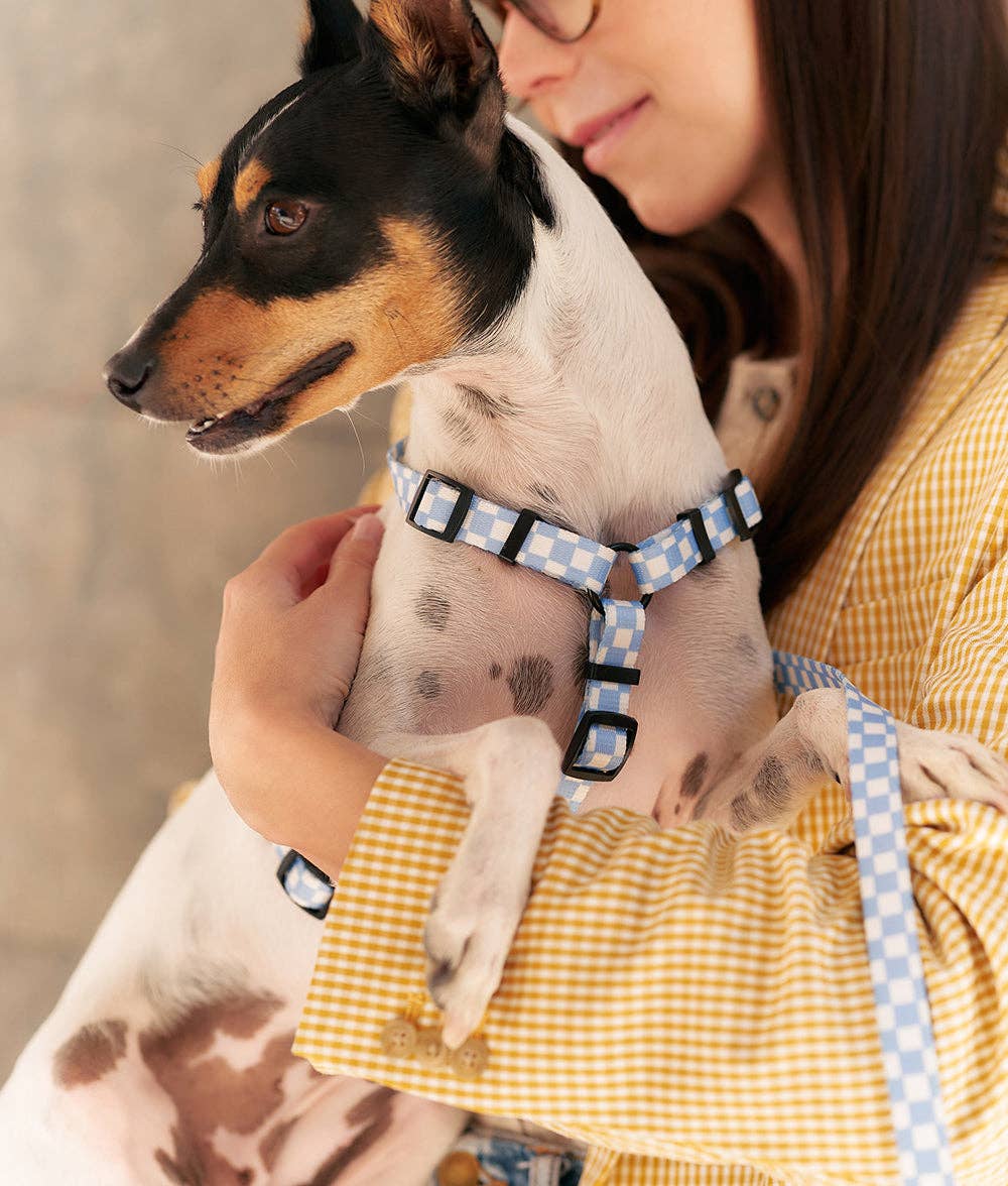 CAFIDE – Juno Harness – Recycled PET