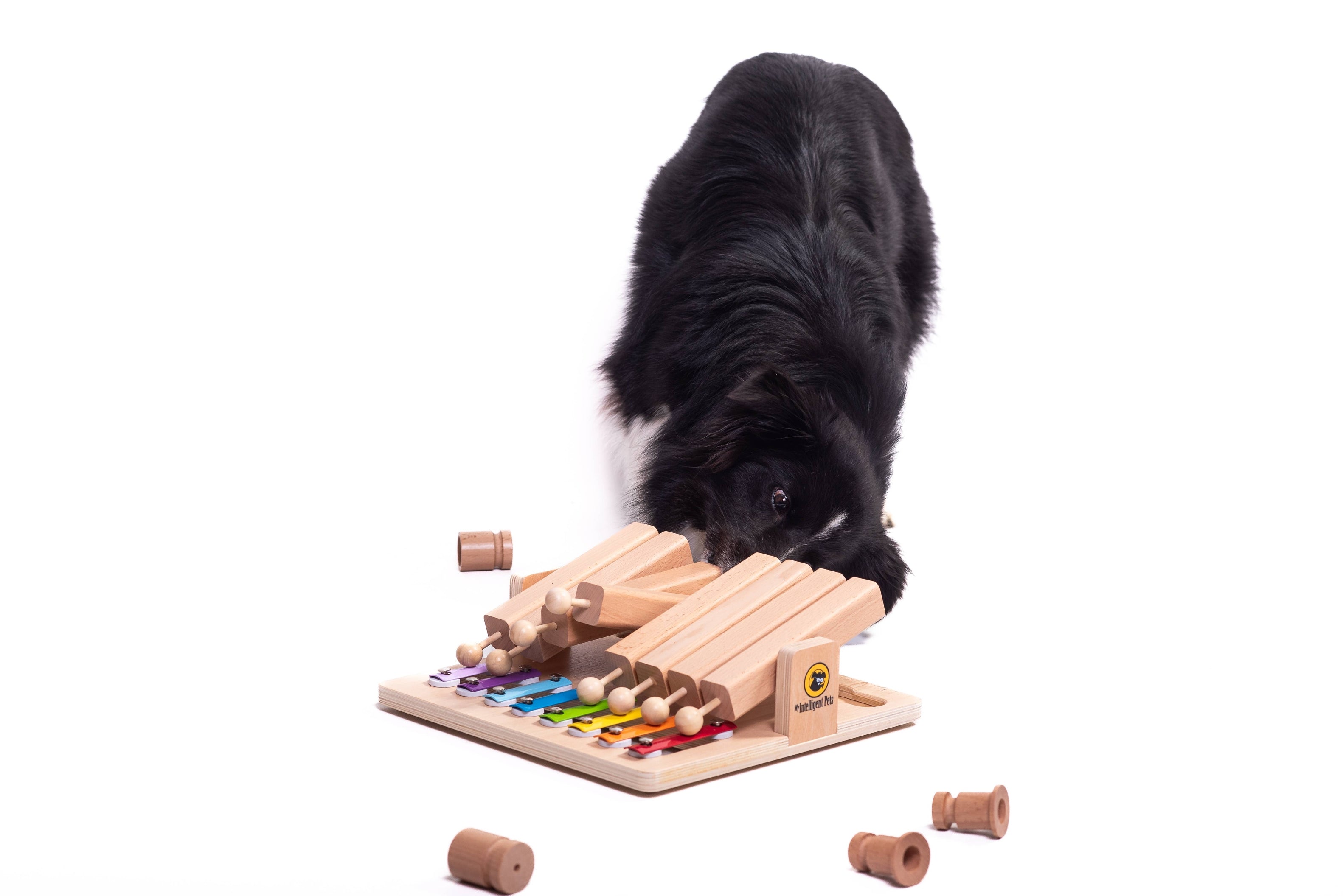 My Intelligent Dogs Piano – Juguete Puzzle para perros