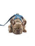 United Pets – Citylife H-Harness Jeans – Padded Comfort