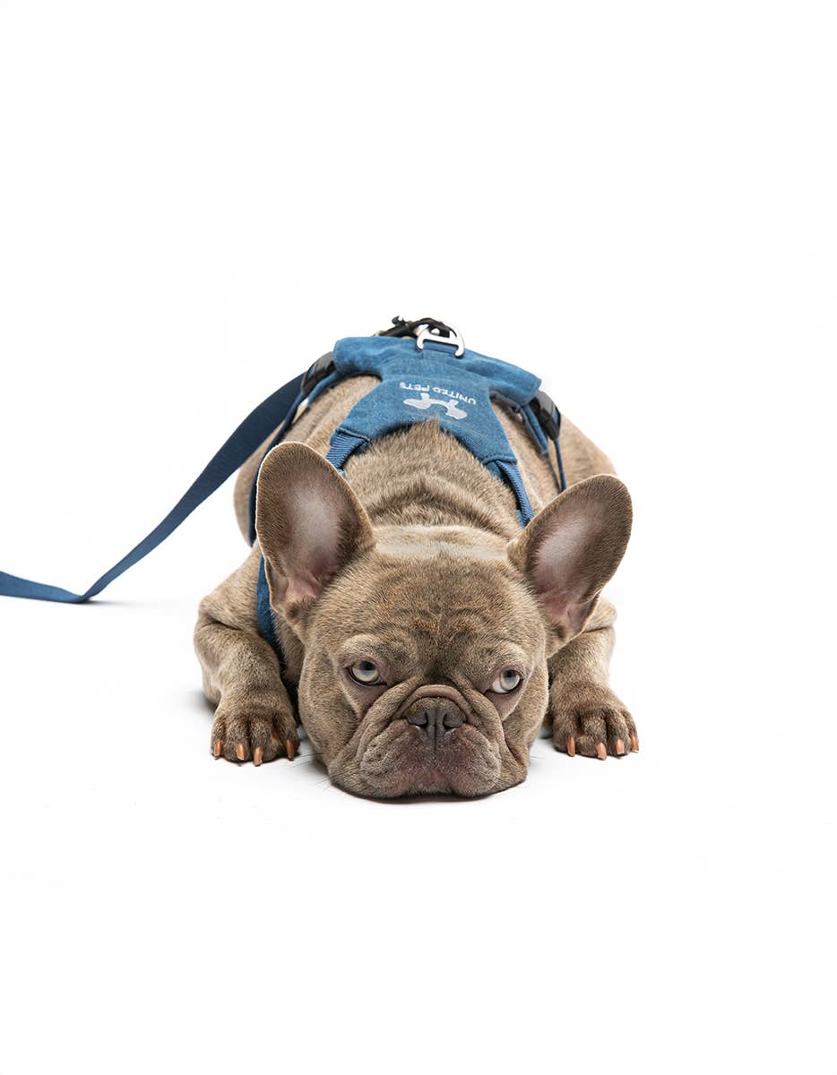 United Pets – Citylife H-Harness Jeans – Padded Comfort