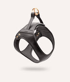 CAFIDE – Jala Harness – Vegan Leather