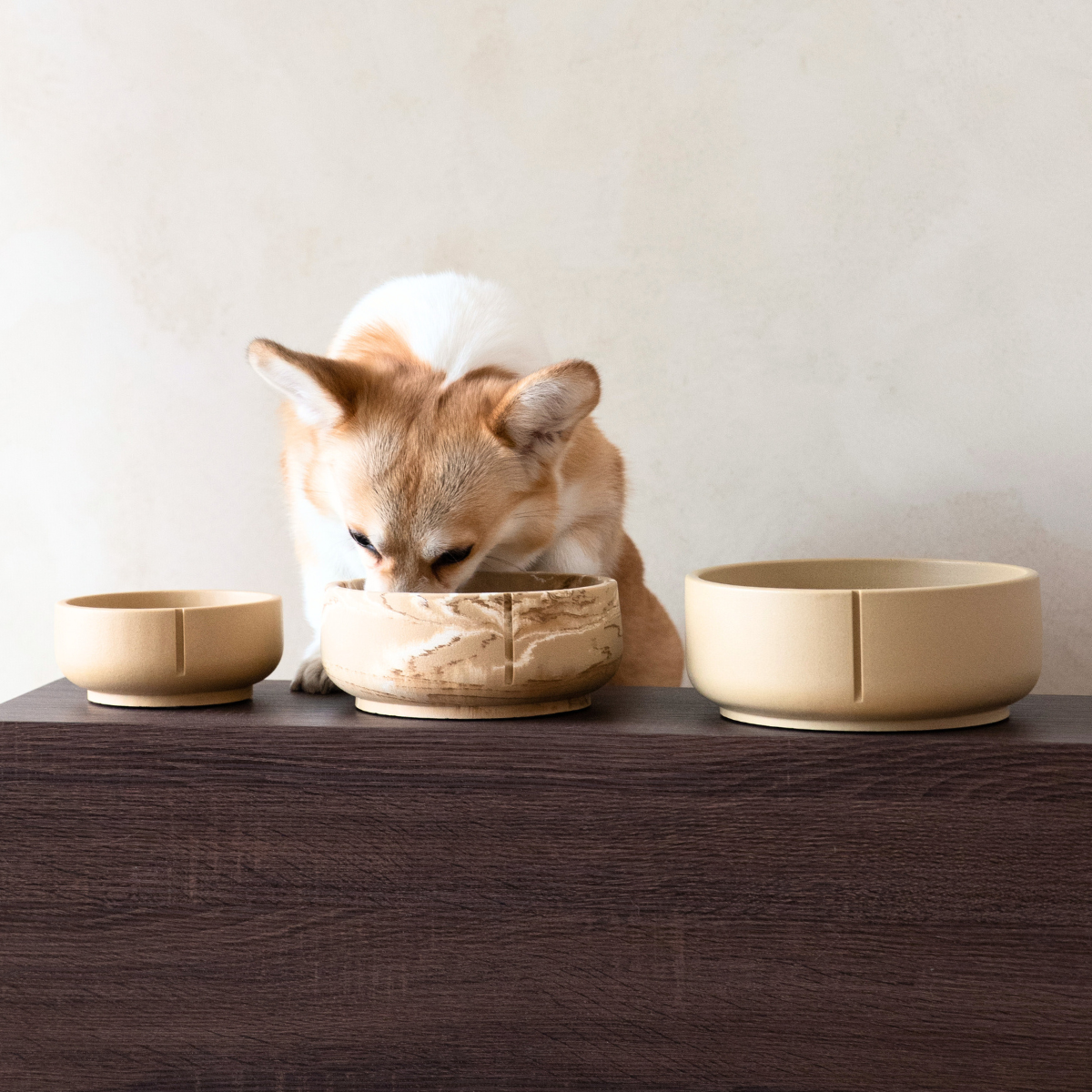 Pino – Classic Bowl – Non-Slip Sandstone & Hypoallergenic