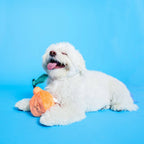 The Furryfolks – Orange – Dog Interactive Nosework Toy