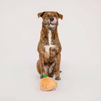 The Furryfolks – Yellow Onion – Dog Interactive Nosework Toy