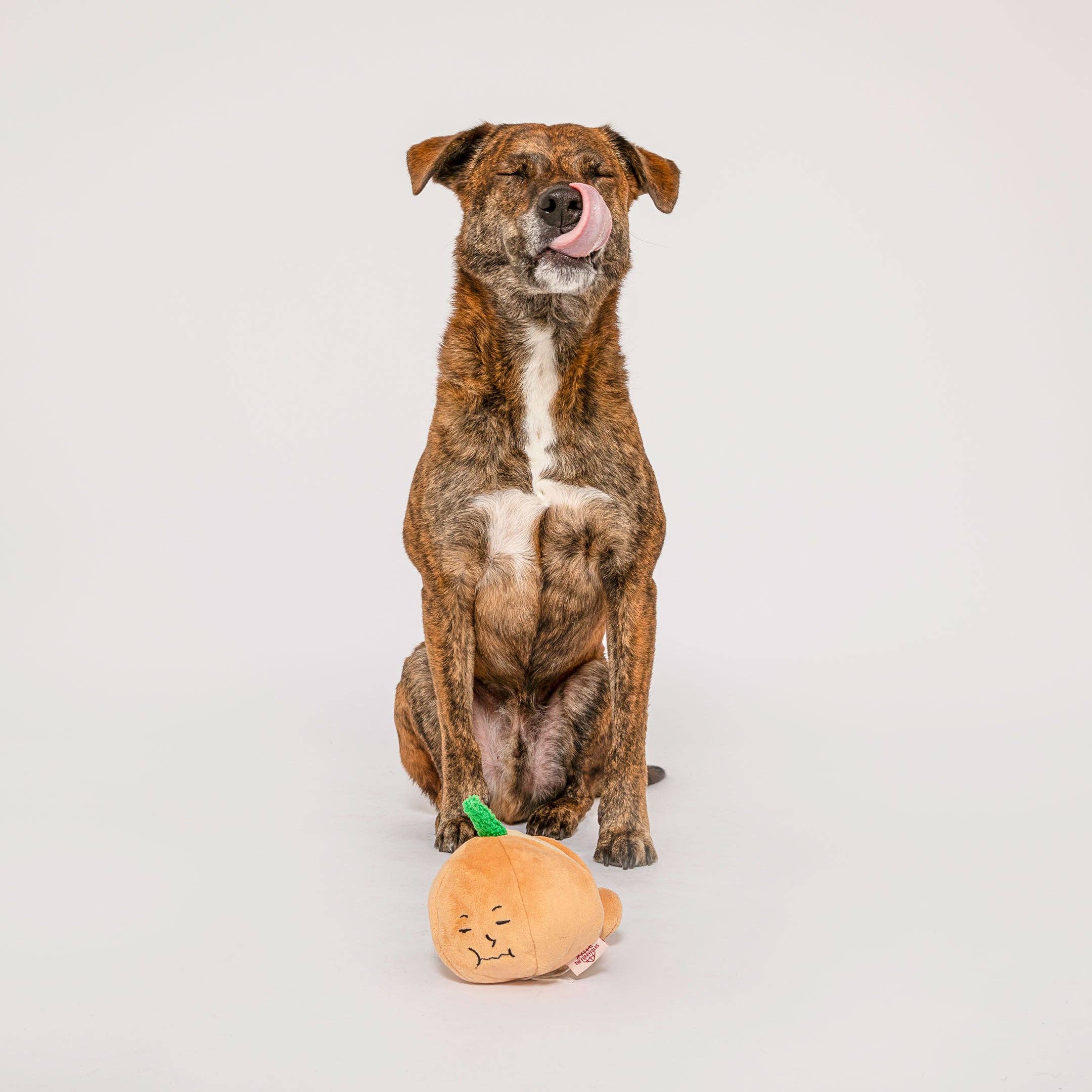 The Furryfolks – Yellow Onion – Dog Interactive Nosework Toy