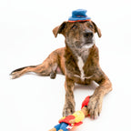 The Furryfolks – Surfer Hooman – Dog Interactive Nosework Toy