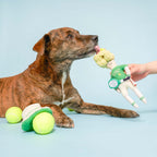 The Furryfolks – Tennis Hooman – Dog Interactive Nosework Toy