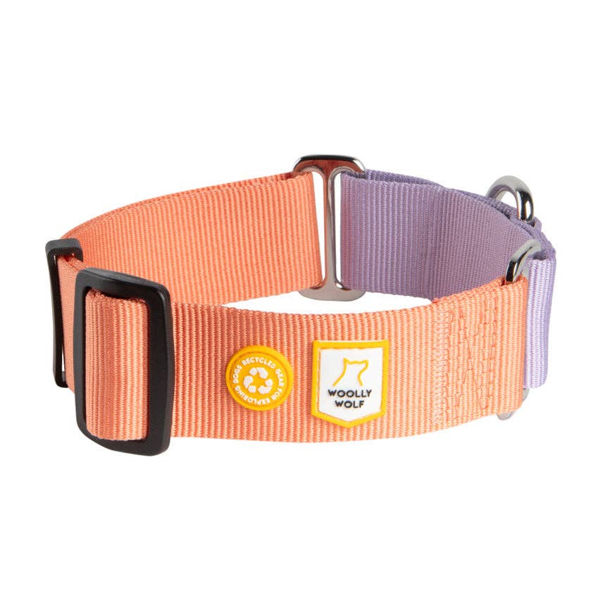 Woolly Wolf – Collar Martingale Colour Block Salmon – RPET