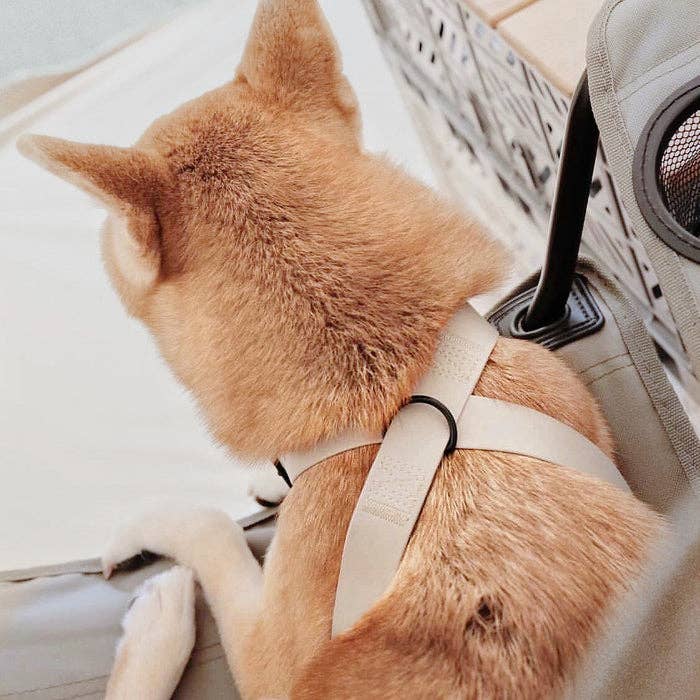 Lambwolf – Otto Harness – Waterproof