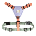 Woolly Wolf – Colour Block Harness – Recycled RPET