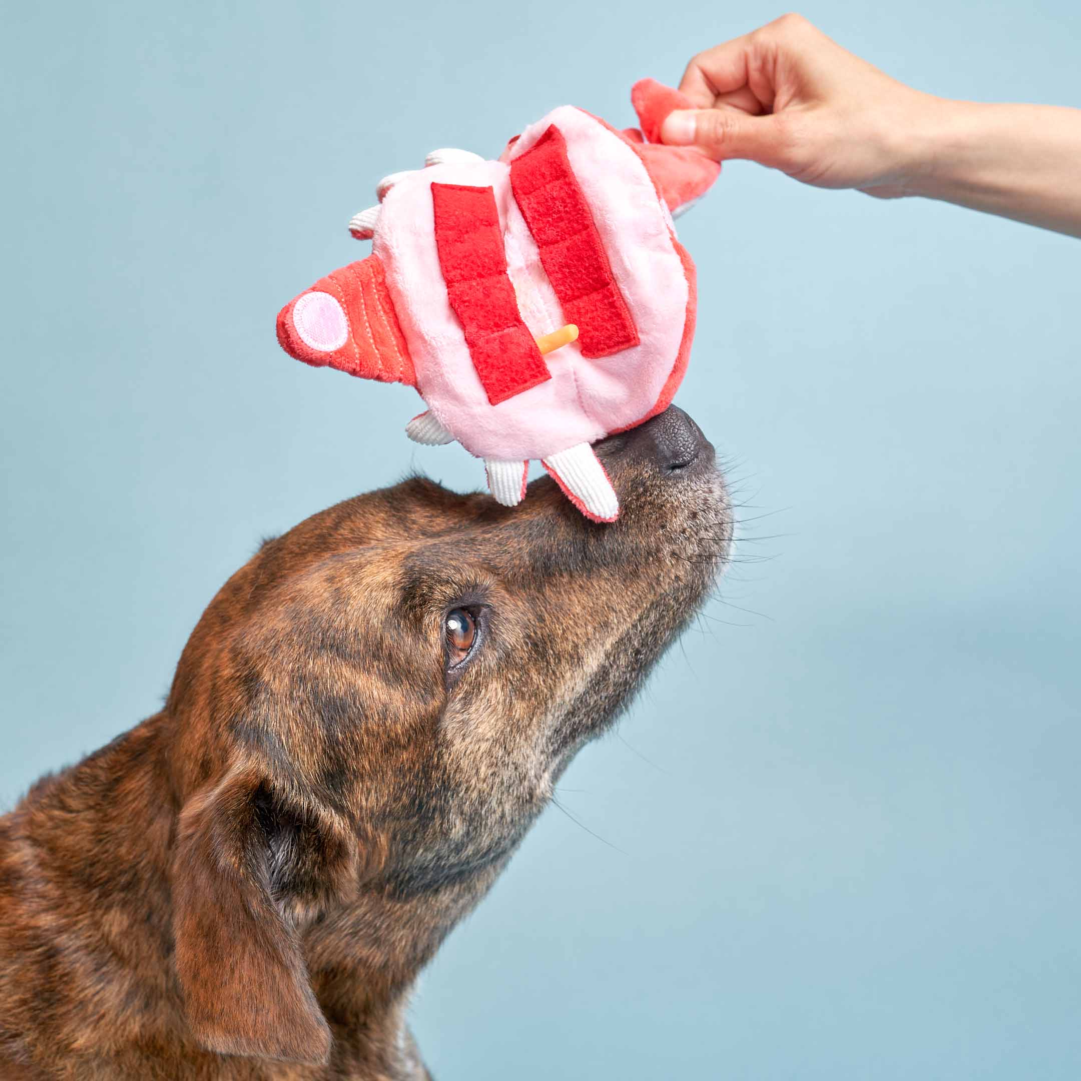 The Furryfolks – Crab – Dog Interactive Nosework Toy