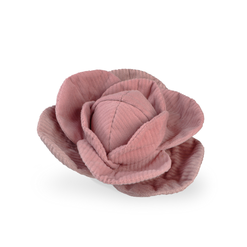 Lambwolf – Cabbage – Enrichment Dog Toy