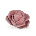 Lambwolf – Cabbage – Enrichment Dog Toy
