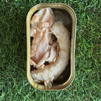 Canumi Wet Dog Food - Natural Salmon - Adult Dogs