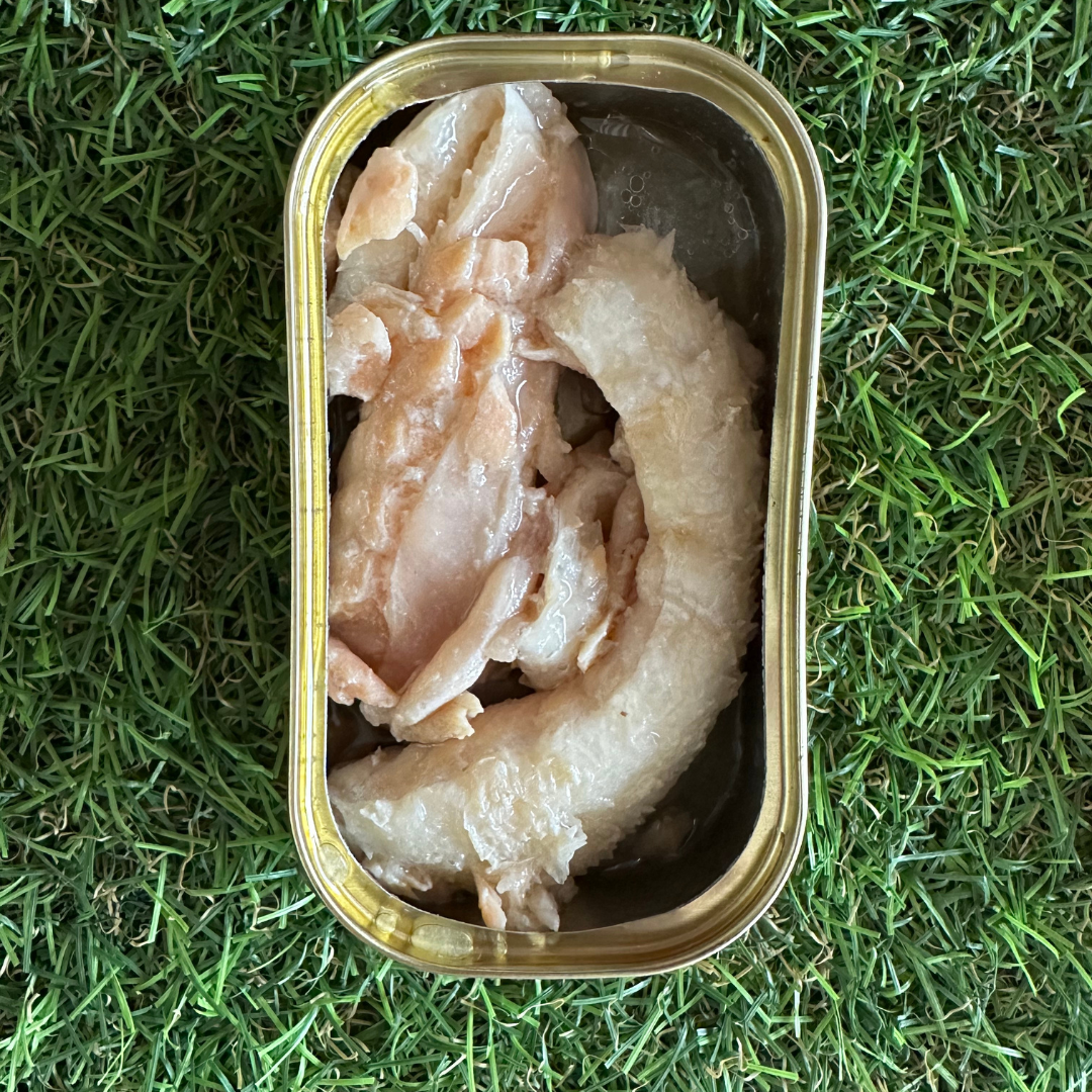 Canumi Wet Dog Food - Natural Salmon - Adult Dogs