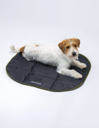 United Pets – Lazy Dog Mat – Portable Dog Mat