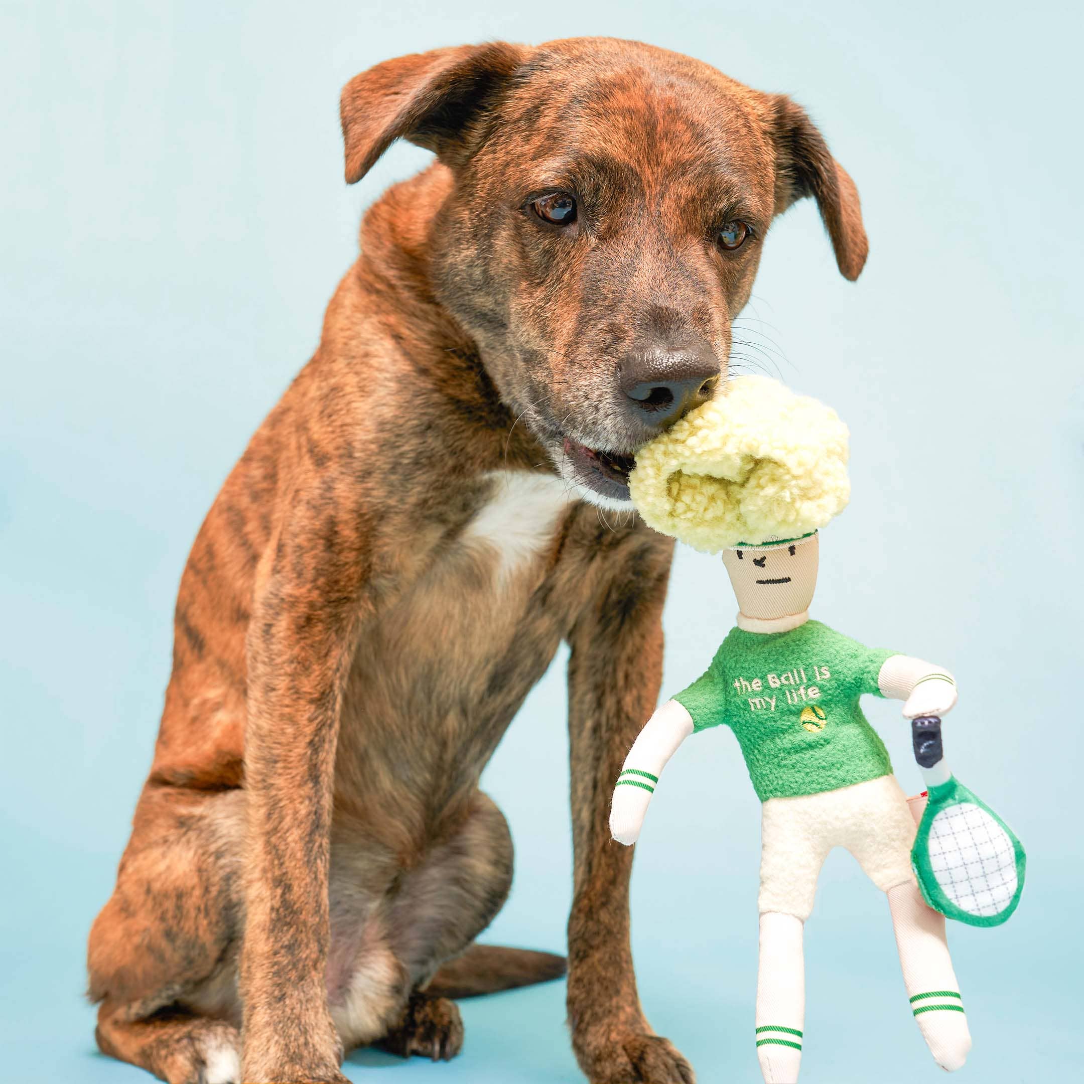 The Furryfolks – Tennis Hooman – Dog Interactive Nosework Toy