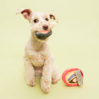 The Furryfolks – Tinned Mussel – Dog Interactive Nosework Toy