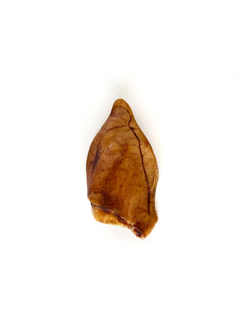Mr.Bones Natural Dog Chews – Iberian Pork Ear – Natural Dental Health